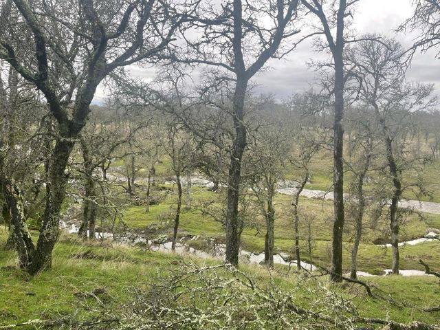 21271 Latrobe Rd, Plymouth, CA 95669