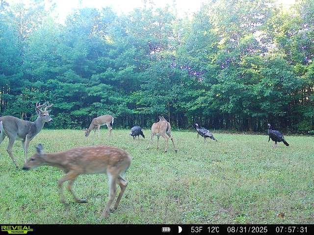 7512 W Poertner Road, Neillsville, WI 54456