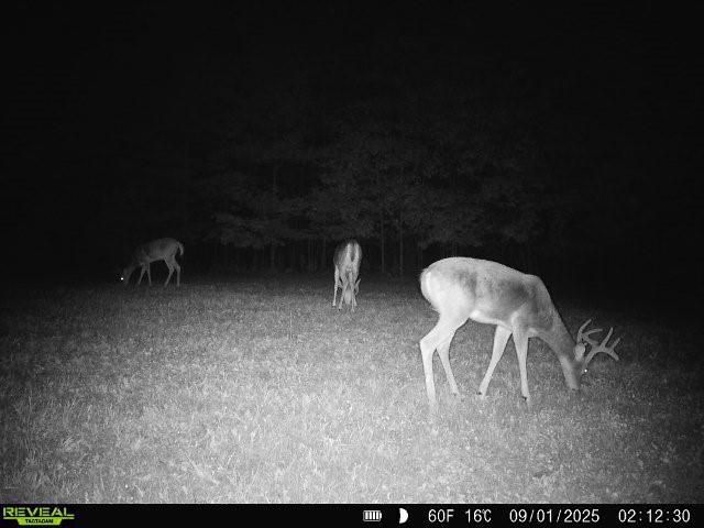 7512 W Poertner Road, Neillsville, WI 54456