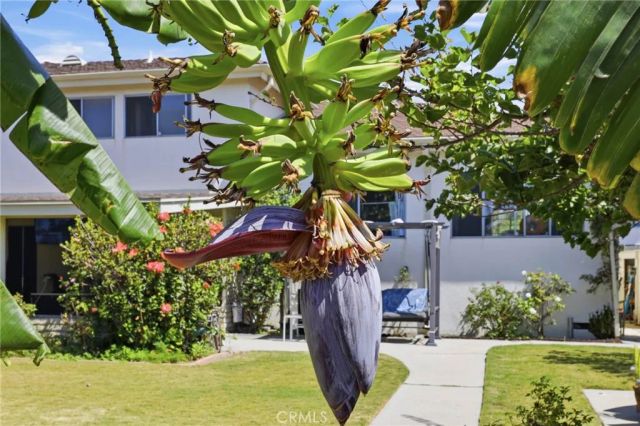 630 Janetwood, Oxnard, CA 93030