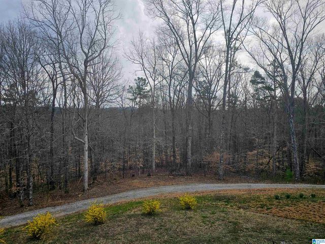 262 HOWLE STREET, Heflin, AL 36264