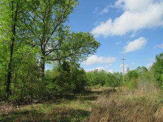 1 Henley Gardens Lane, Big Sandy, TN 38221
