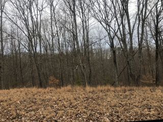 99 Deepwood Dr, Waverly, TN 37185