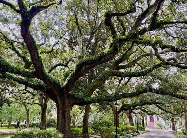 20 W Duffy Street D, Savannah, GA 31401