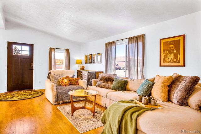 884 Trout Creek Drive, Fairplay, CO 80440