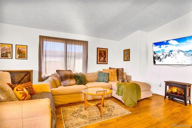 884 Trout Creek Drive, Fairplay, CO 80440