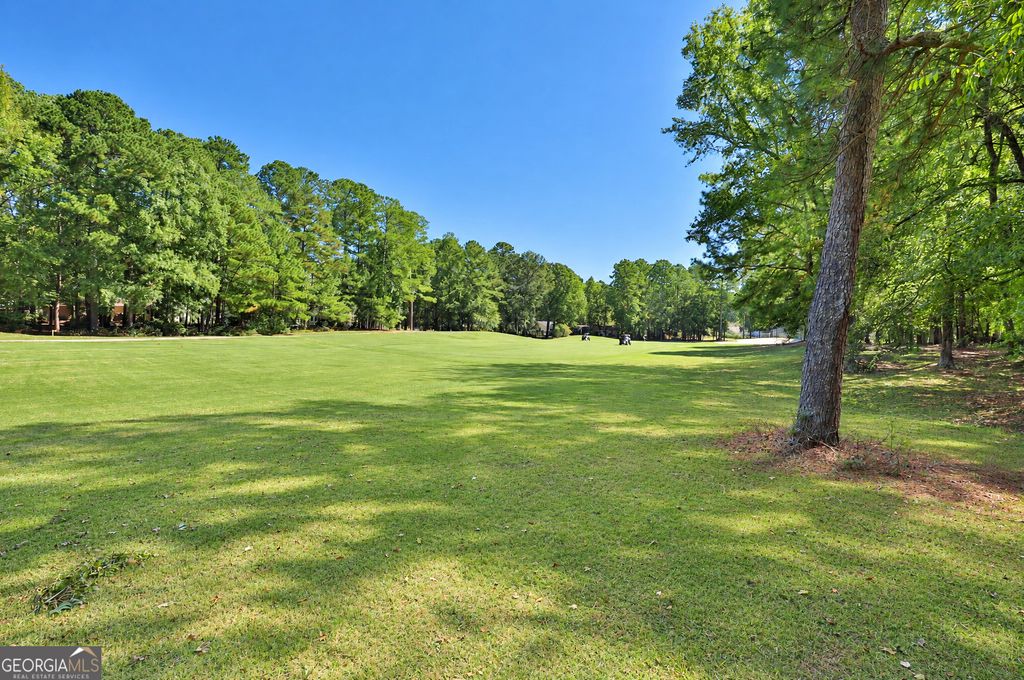 422 Hampton Green, Peachtree City, GA 30269 — photo 3