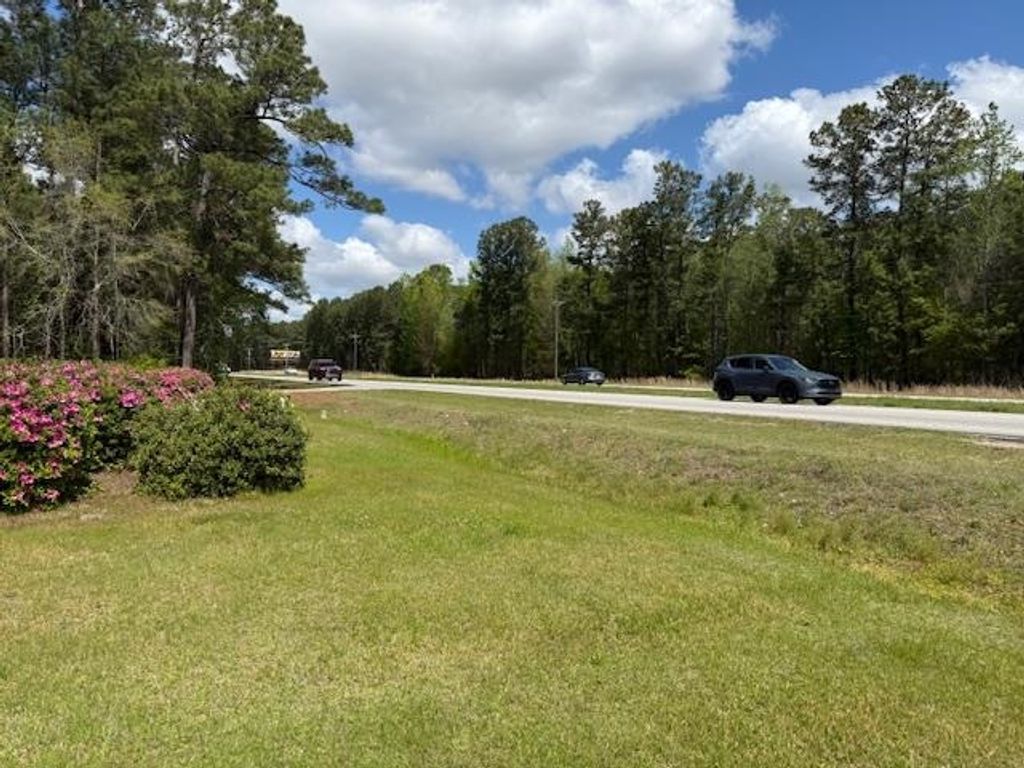 3745 Highway 501, Conway, SC 29526 — photo 4