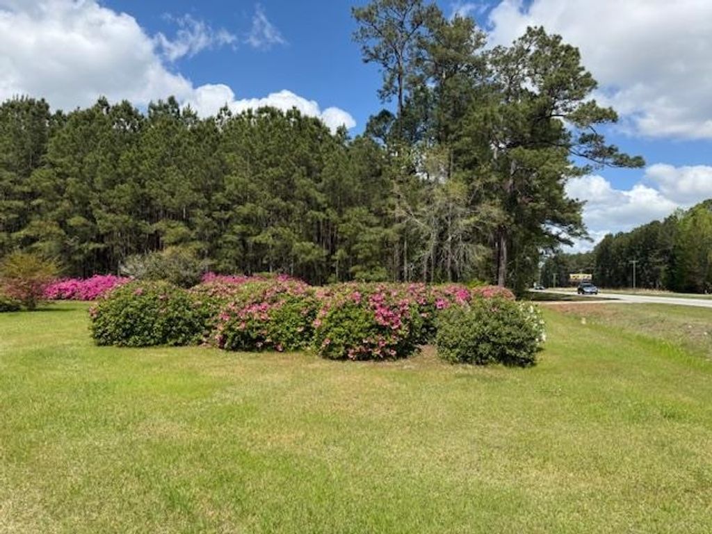 3745 Highway 501, Conway, SC 29526 — photo 5