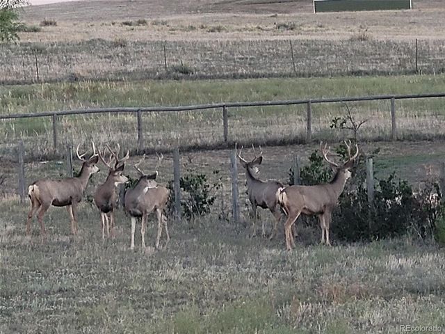 7736 S Shenandoah Dr, Elizabeth, CO 80107