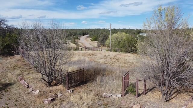 82 Jesse James Road, Edgewood, NM 87015