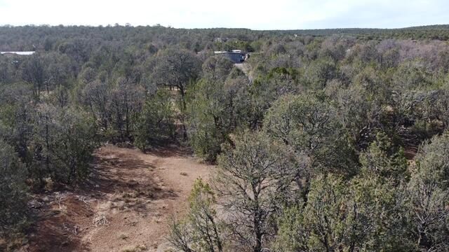 82 Jesse James Road, Edgewood, NM 87015