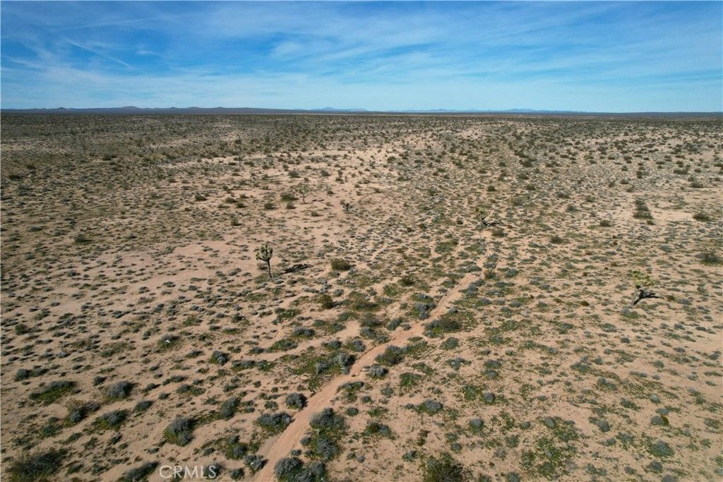 Image 10 of property listing at 160 AC Near Buckthorn Canyon Road, Helendale, CA 92342