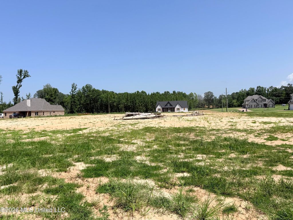 5441 Hazelwood Drive, Lake Cormorant, MS 38641 — photo 3