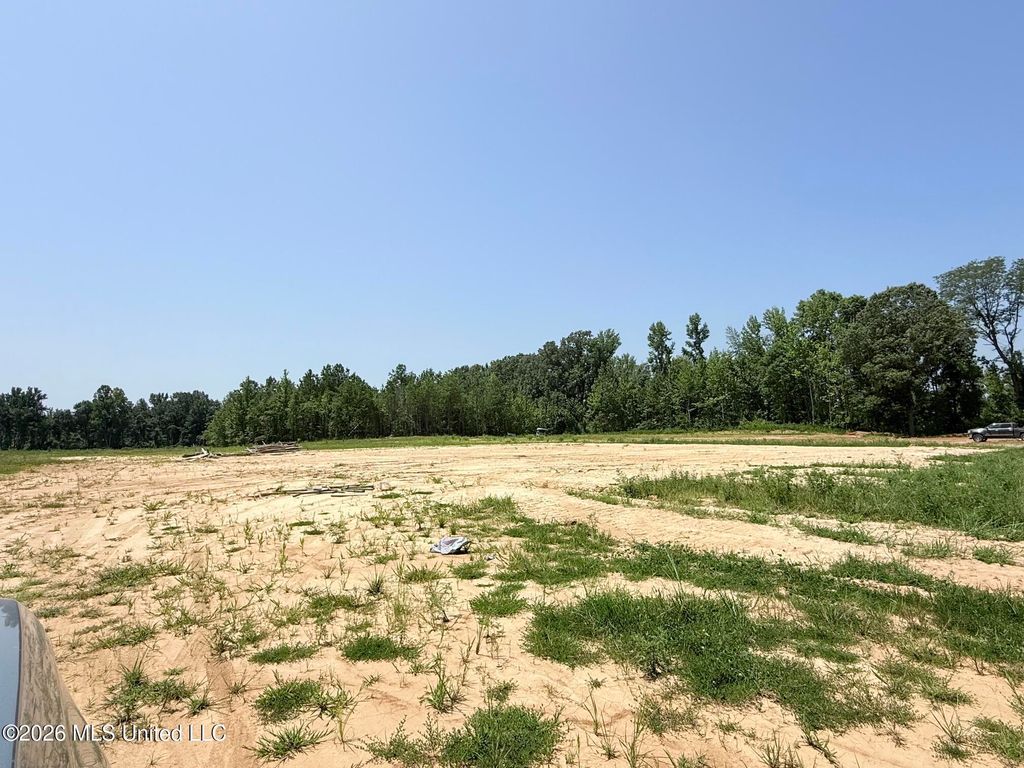 5441 Hazelwood Drive, Lake Cormorant, MS 38641 — photo 4