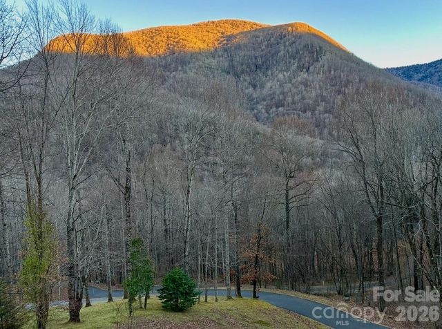 302 Davy Crockett Drive, Maggie Valley, NC 28751