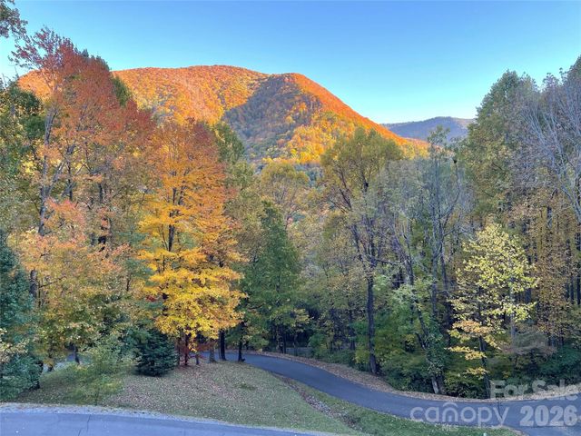 302 Davy Crockett Drive, Maggie Valley, NC 28751