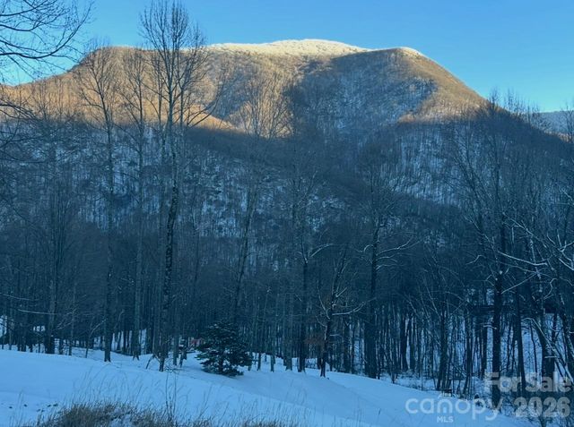 302 Davy Crockett Drive, Maggie Valley, NC 28751