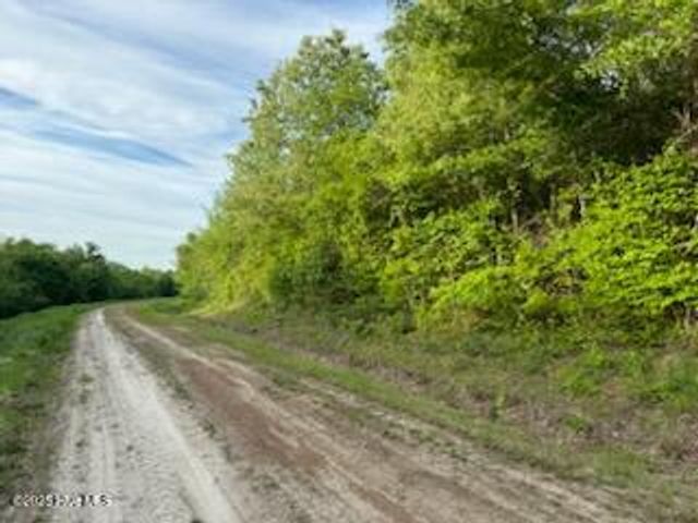 Lot C South Road, South Mills, NC 27976