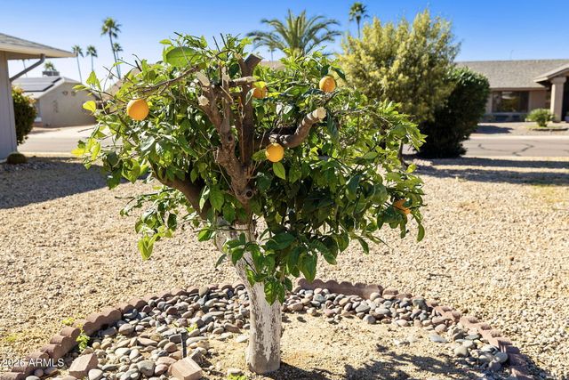 12646 W BUTTERFIELD Drive, Sun City West, AZ 85375