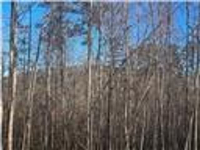 2986 Cannon Bridge Road, Demorest, GA 30535