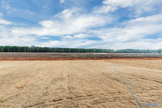 15366 Lapwing Cove, Athens, AL 35611