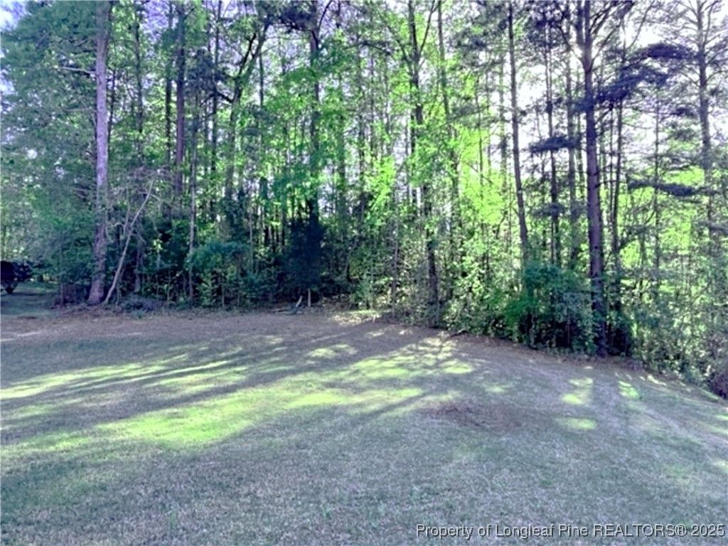 3294 Leeds Court, Sanford, NC 27332 — photo 11