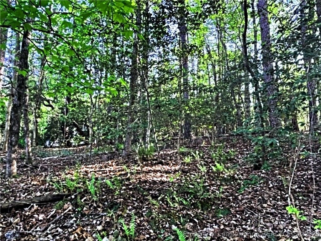 3294 Leeds Court, Sanford, NC 27332 — photo 15