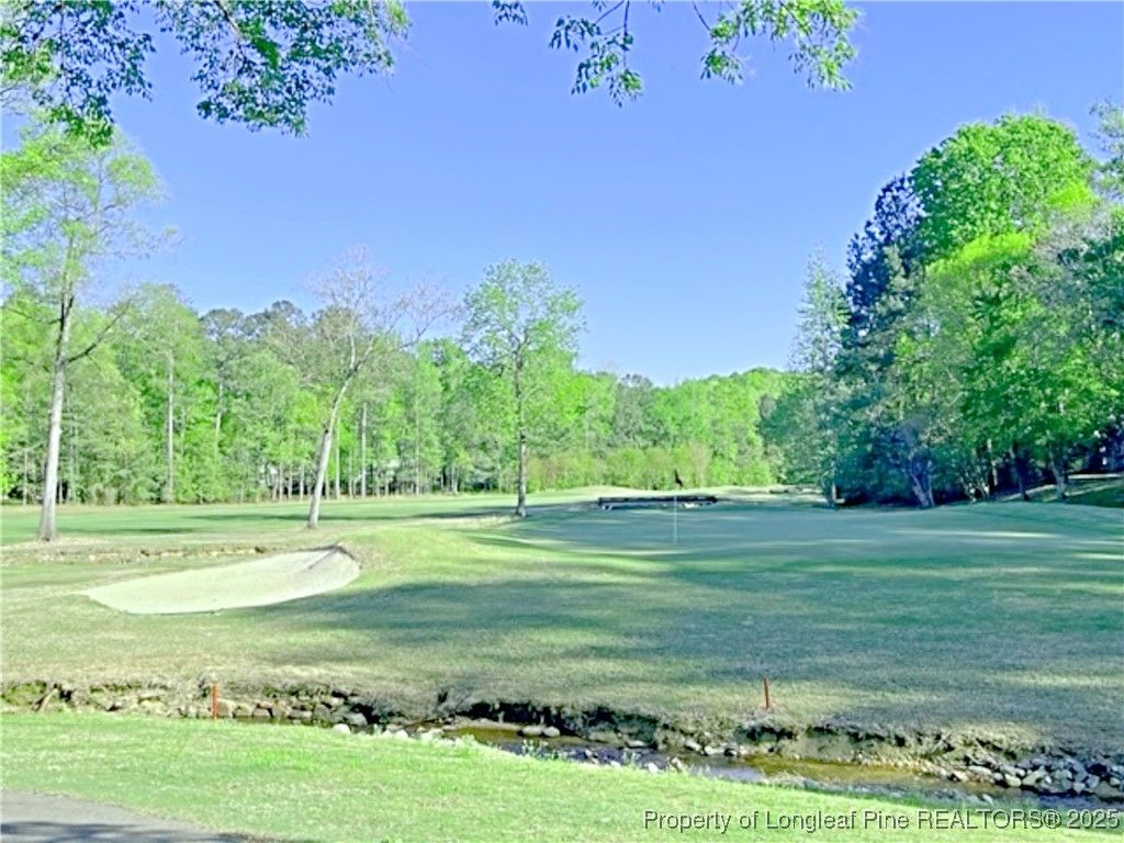 3294 Leeds Court, Sanford, NC 27332 — photo 20