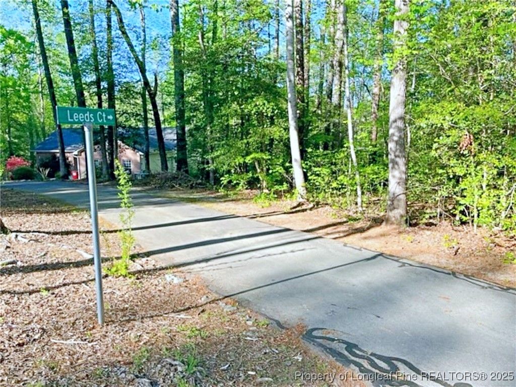 3294 Leeds Court, Sanford, NC 27332 — photo 23