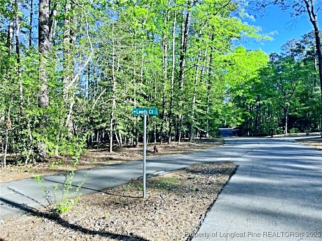 3294 Leeds Court, Sanford, NC 27332 — photo 24