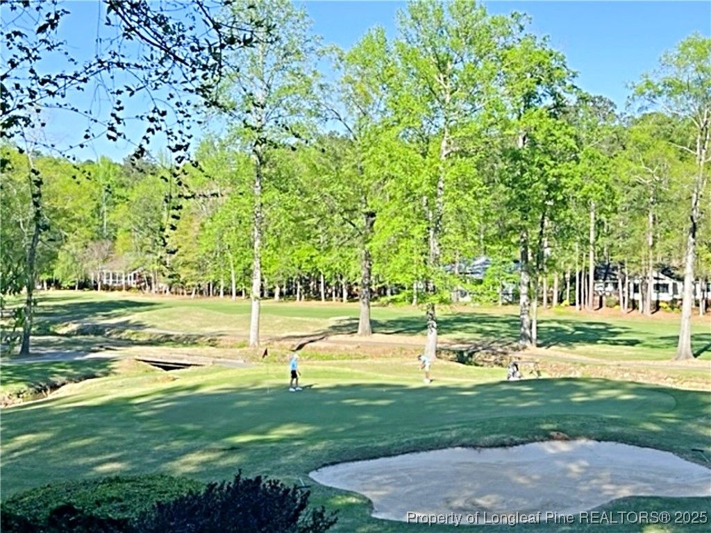 3294 Leeds Court, Sanford, NC 27332 — photo 3
