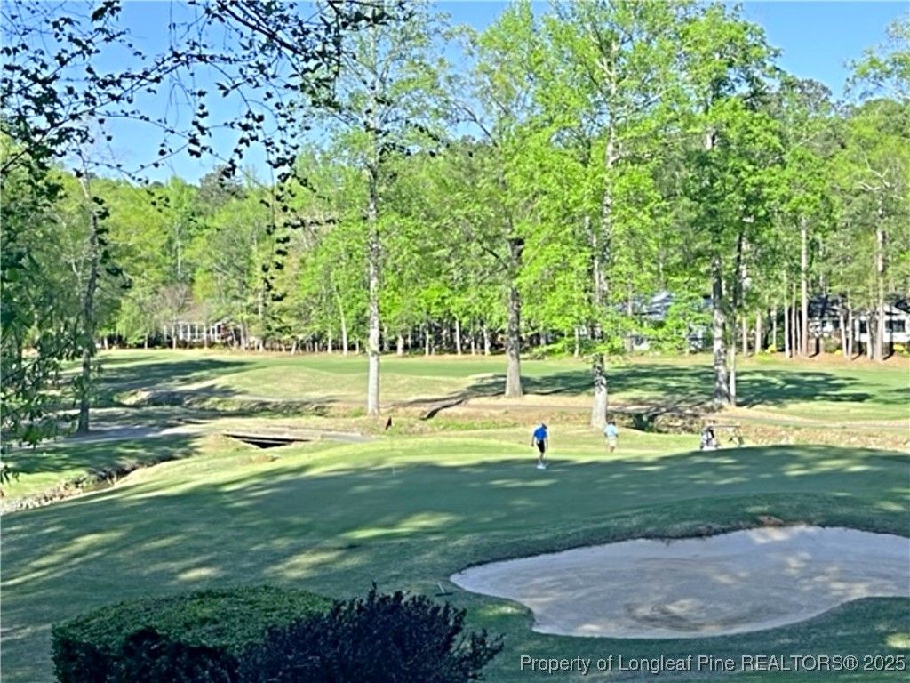 3294 Leeds Court, Sanford, NC 27332 — photo 4