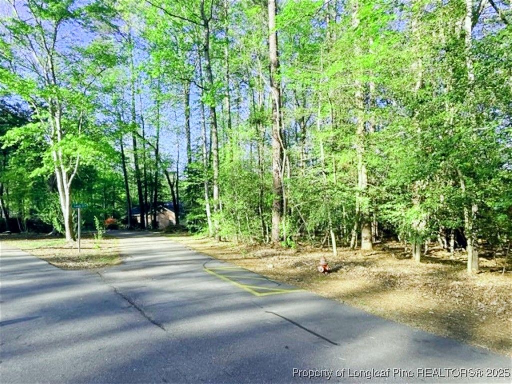 3294 Leeds Court, Sanford, NC 27332 — photo 6