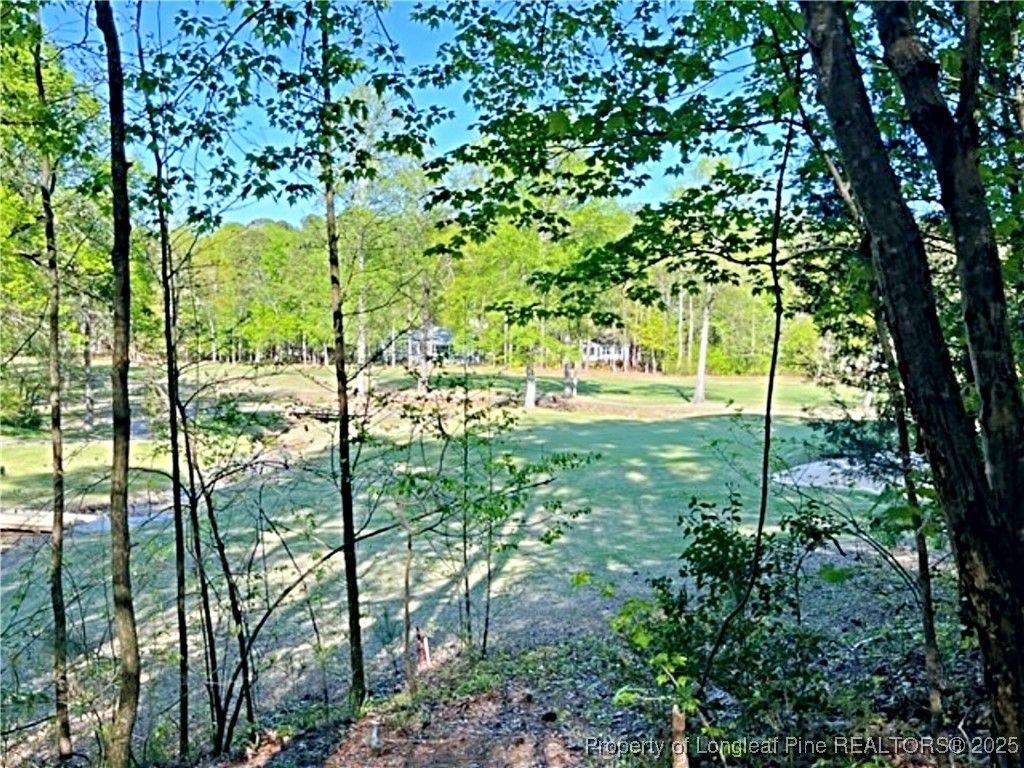 3294 Leeds Court, Sanford, NC 27332 — photo 7