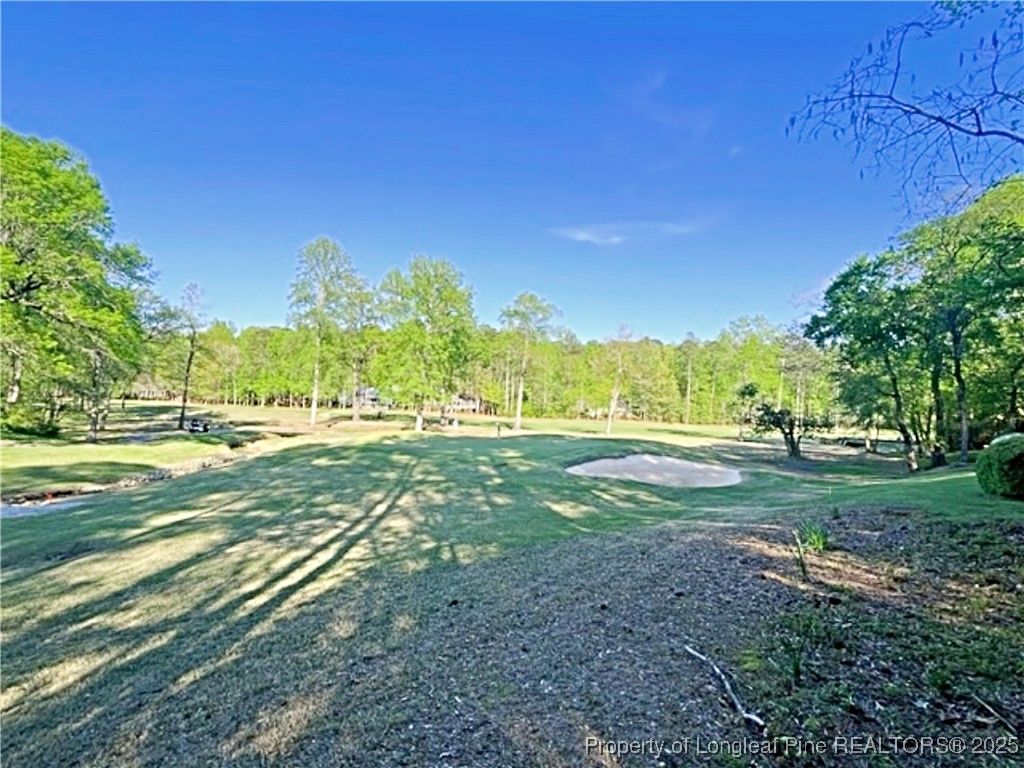 3294 Leeds Court, Sanford, NC 27332 — photo 9