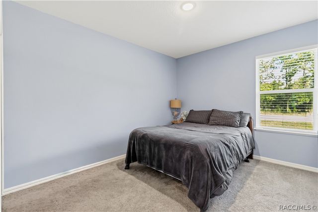 14557 Cedarwood Avenue, Weeki Wachee, FL 34614