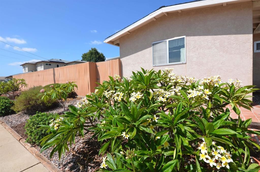 5170 Arvinels Avenue, San Diego, CA 92117 — photo 5