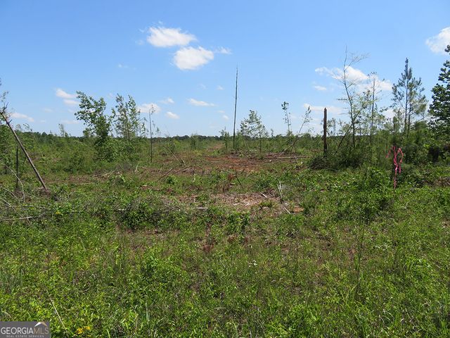 2 Goolsby Road, Ellaville, GA 31806