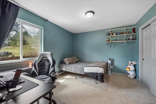 153 Chickadee Lane, Bailey, CO 80421