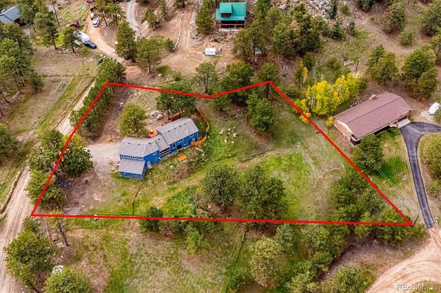 153 Chickadee Lane, Bailey, CO 80421