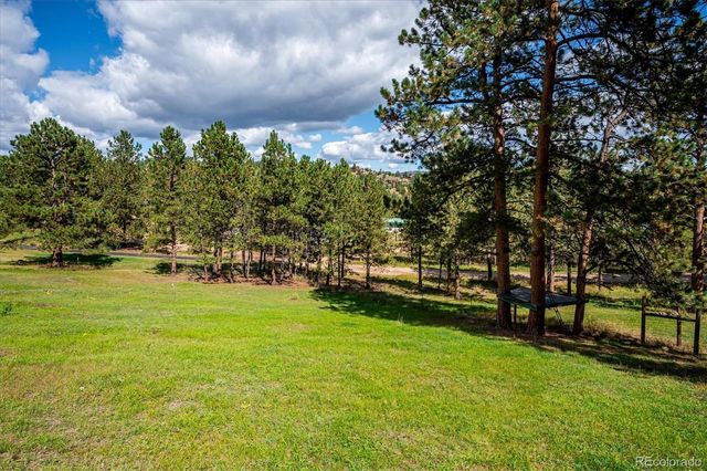 153 Chickadee Lane, Bailey, CO 80421