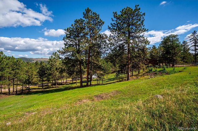 153 Chickadee Lane, Bailey, CO 80421