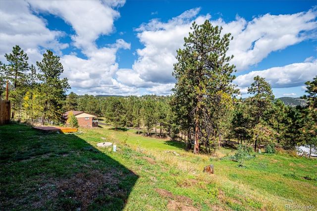 153 Chickadee Lane, Bailey, CO 80421
