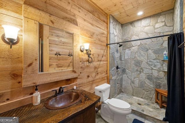 101 Heights Overlook, Blue Ridge, GA 30513