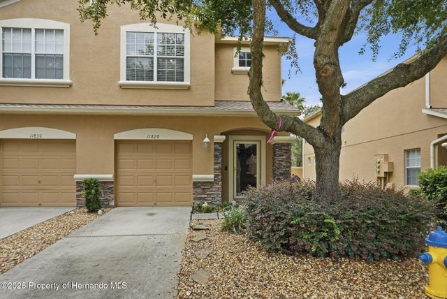 11828 Castine Street, New Port Richey, FL 34654