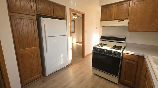 445 W 37th Street 1, Chicago, IL 60609