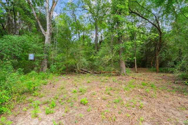 242 Cody Lane, Bastrop, TX 78602