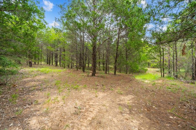 242 Cody Lane, Bastrop, TX 78602