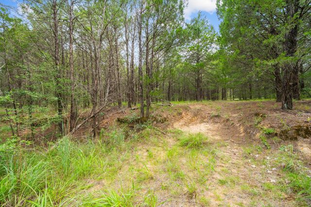 242 Cody Lane, Bastrop, TX 78602